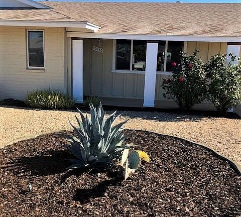 Desert landscaping