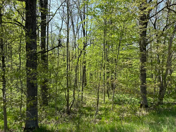 W Hc Edmore Rd, Howard City, MI 49329