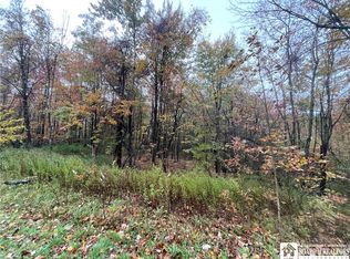 Park Rd Lot 33, Cassadaga, NY 14718