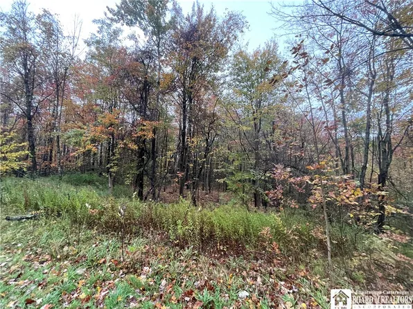 Park Rd Lot 33, Cassadaga, NY 14718