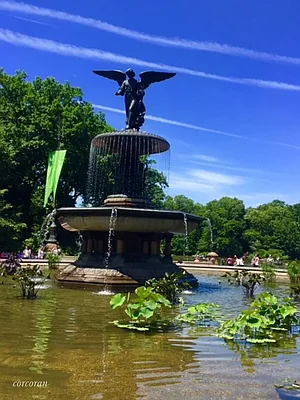 Sold by Corcoran | media 16