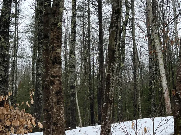Lot 46-4 Middle Road, Waterboro, ME 04061