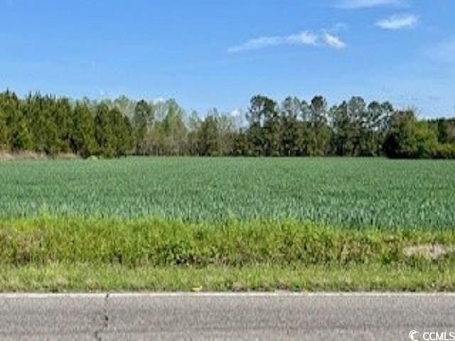 2nd image of 3608 N Highway 501