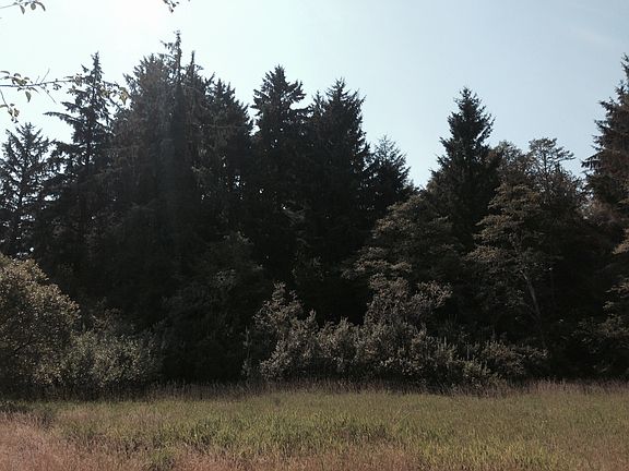 Wooded building site