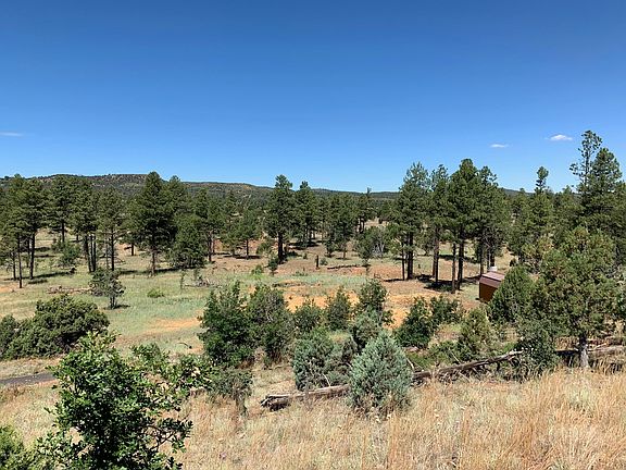 3rd image of 872 E Pine Meadow Ln