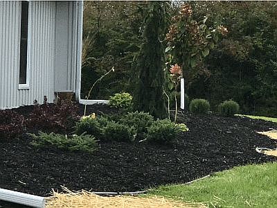 2nd image of 11503 Balfour Dr