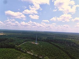 1571 Fish Rd, Ridgeville, SC 29472