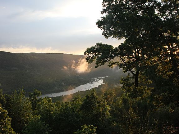 View from Living Room