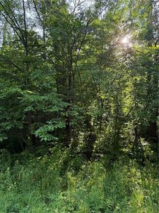 0 Mack Lake Road, Trego, WI, 54888