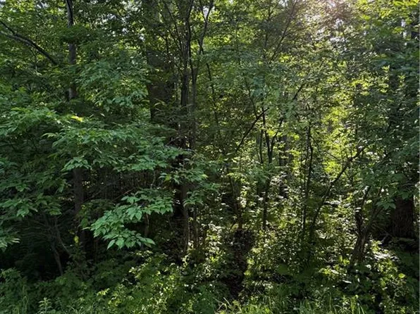 0 Mack Lake Road, Trego, WI 54888