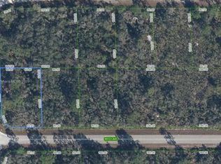 3031 Beech Ave, Lake Placid, FL 33852