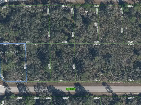 3031 Beech Ave, Lake Placid, FL 33852