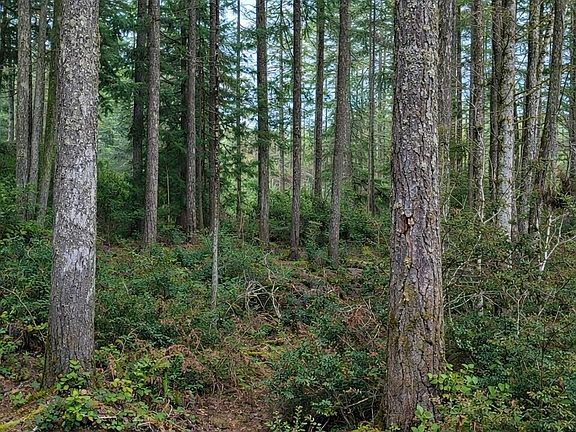 4th image of 2495 Christopher Road NW