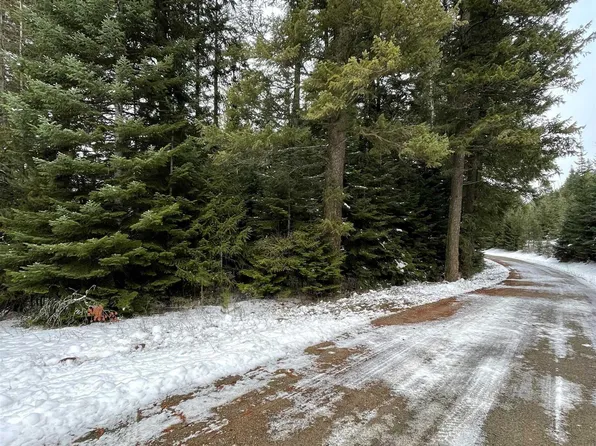 3785 N Rocky Gorge Rd, Newport, WA 99156