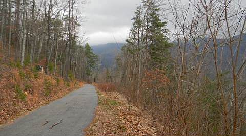 5th image of Bald Eagle Dr #14