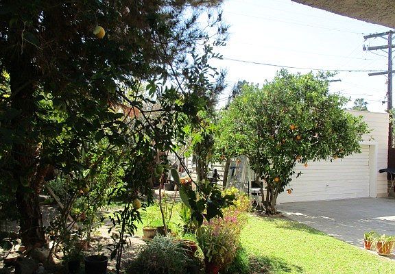 5th image of 578 Palm Dr