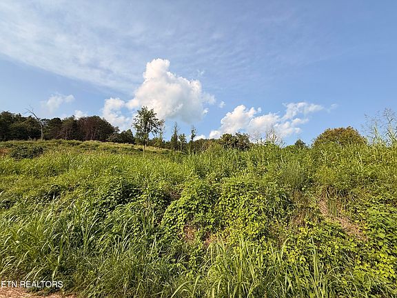 3rd image of 0 Flower Gap Rd