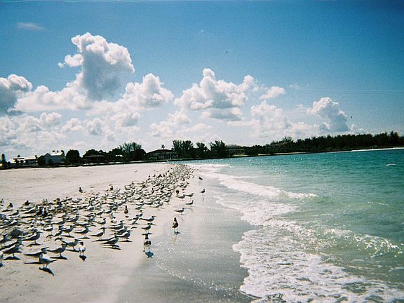 Actual Beach (not a stock photo)