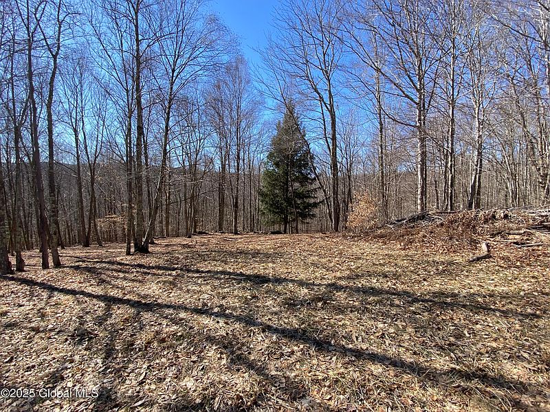 5th image of L22.2 Alder Pond Road
