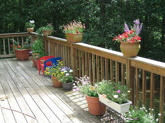 Part of Back Deck