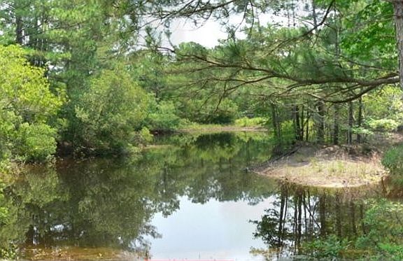 Private Lake with Island