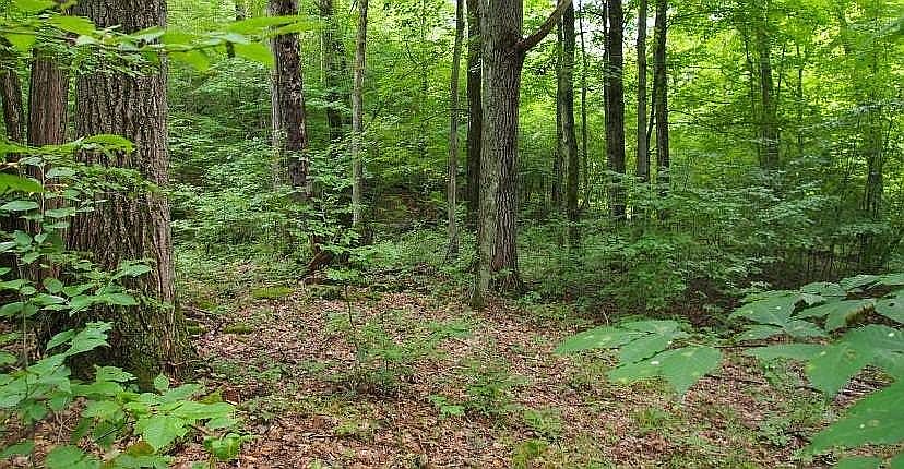 1st image of 1633 County Highway 8
