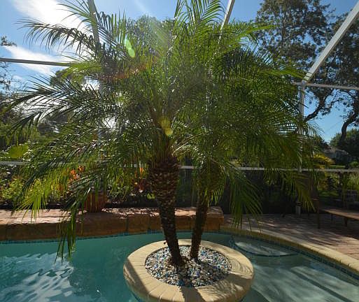 4th image of 5 Osprey Cir