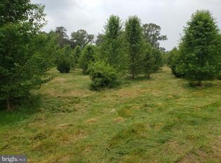 1040 Matthew Mill Rd, Ruckersville, VA 22968