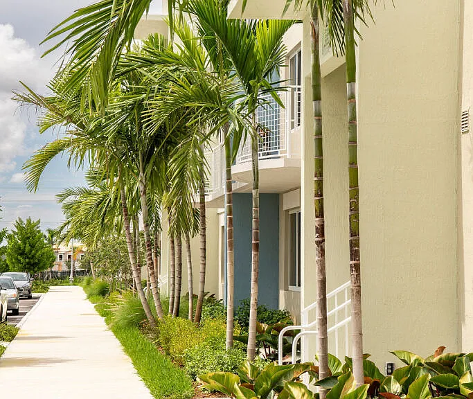 Sonata Apartment Homes — Photo 13