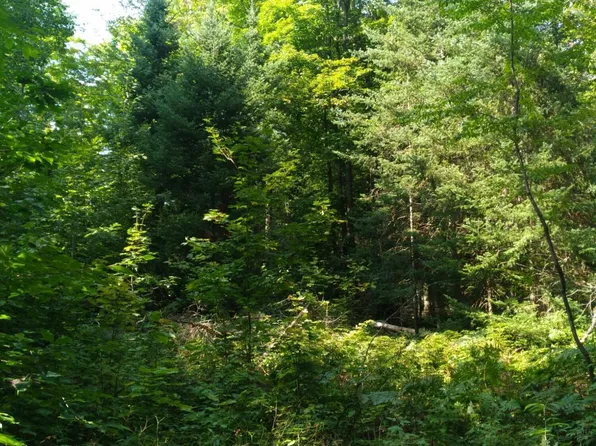 1 E Gogomain Rd, Pickford, MI 49774