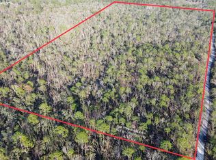 Vacant Clearwater Creek Ln, Perry, FL 32348