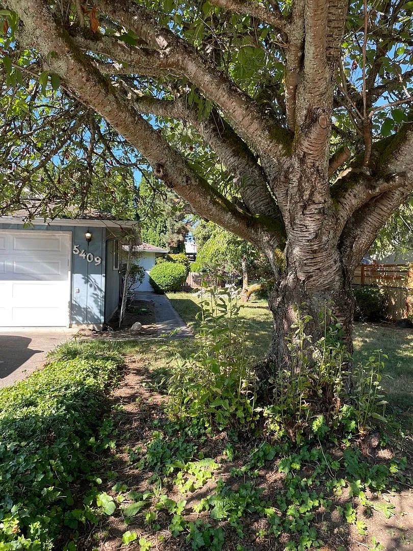Lovely 2 Bedroom Home located in Marysville! — Photo 2