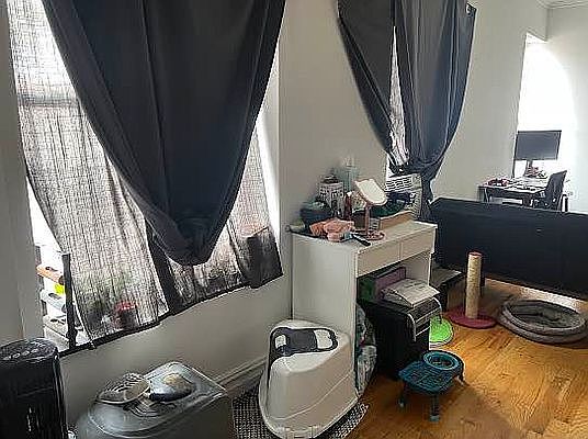 5th image of 170 E 2nd St APT 5D