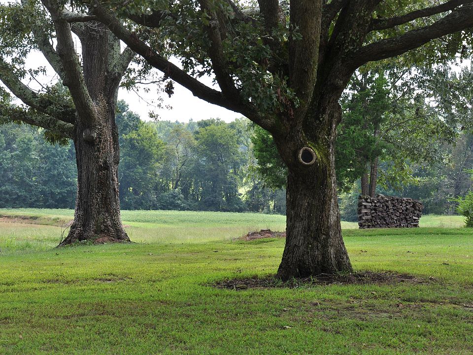 2nd image of 510 Porter Creek Road