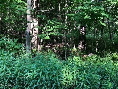 0 Wade Inn Rd, Becket, MA, 01223