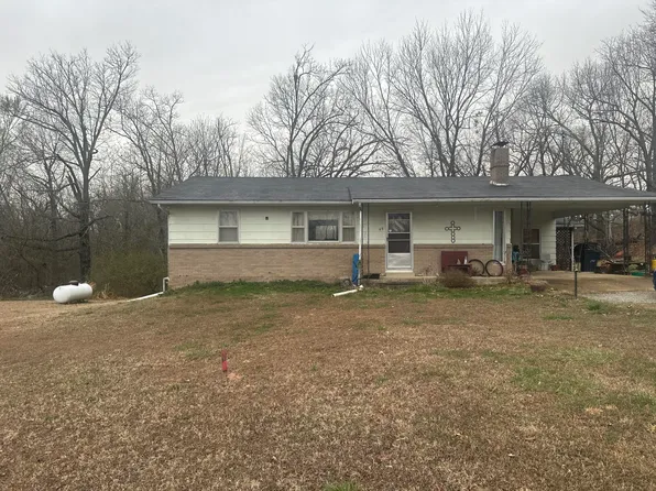 49 E TOWER ROAD, Gainesville, MO 65655