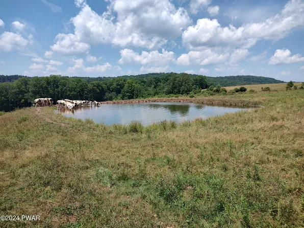 Cochecton Tpke, Tyler Hill, PA 18469