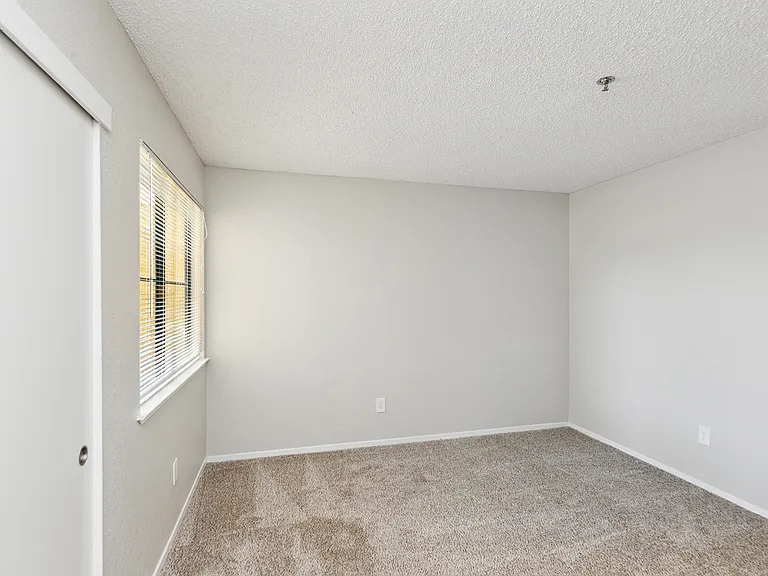 ReNew on Summerfield — Photo 15
