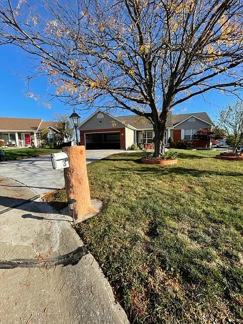 Front of house with tree and driveway - 3 Coach Lamp Ct
