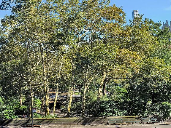 4th image of 15 Central Park W APT 3B