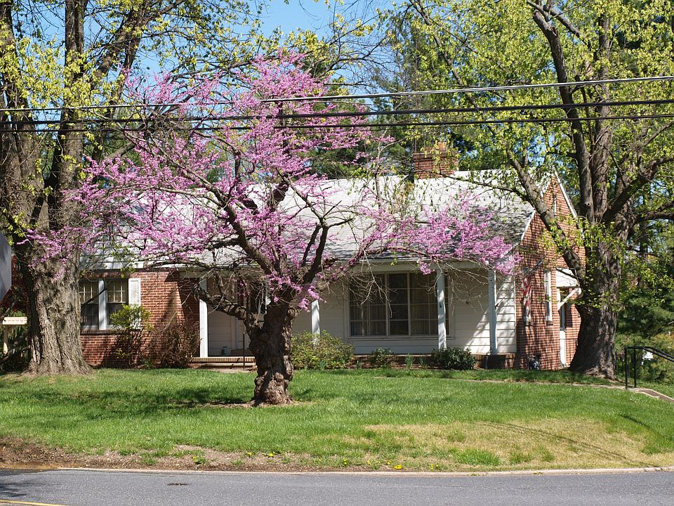 From Front
