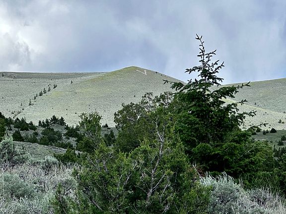 Borders Ranch - note the V