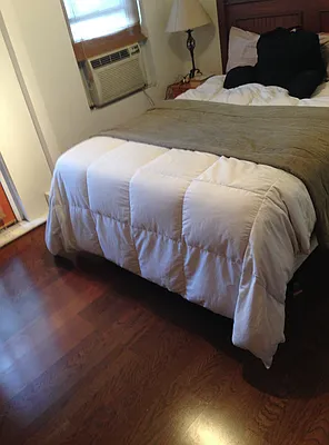 Rented by Charie Properties LLC | media 22