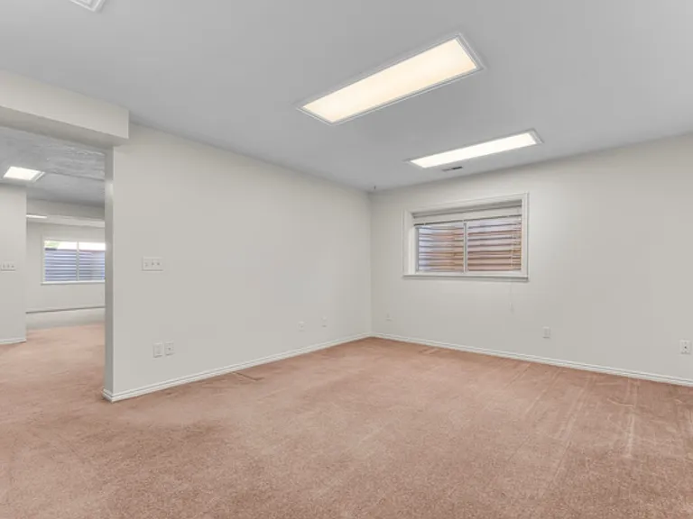 Basement Bedroom