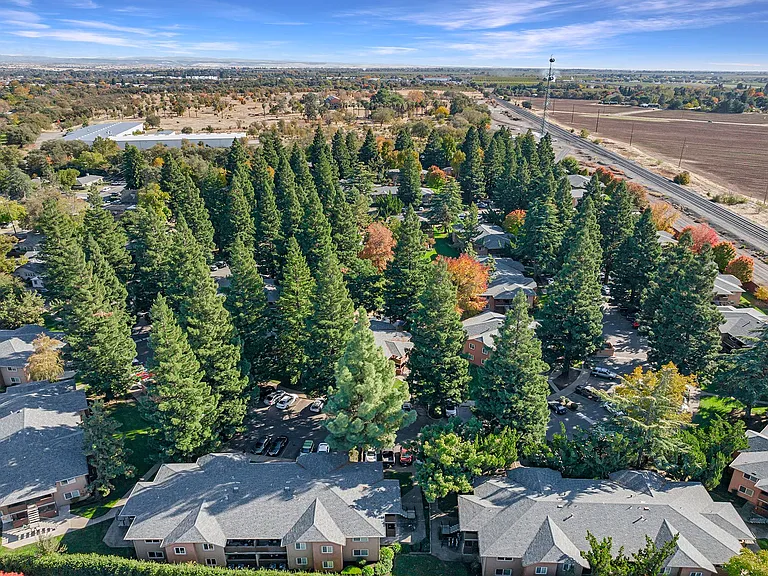 Pine Tree Apartments — Photo 5