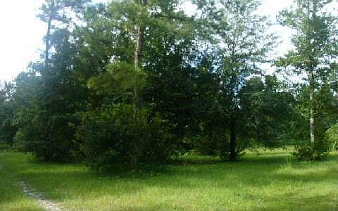 2nd image of 11590 SE County Road 245