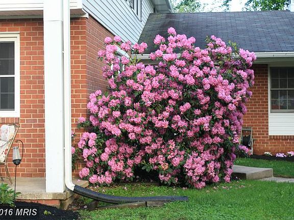 3rd image of 8022 McKenstry Dr