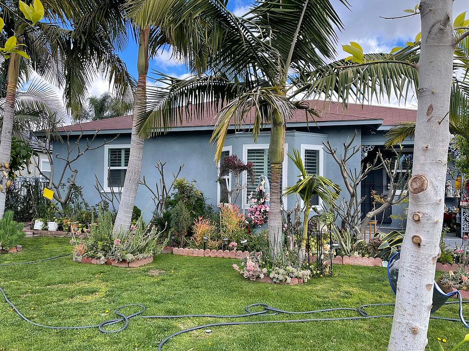 front of the house