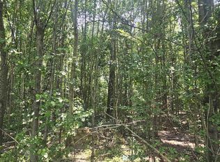 517 3rd Ave SW, Sylvania, AL 35988