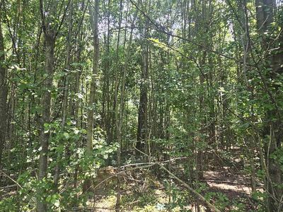 517 3rd Ave SW, Sylvania, AL, 35988